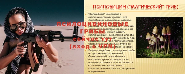 таблы Алексин
