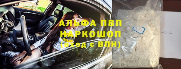 стафф Иннополис